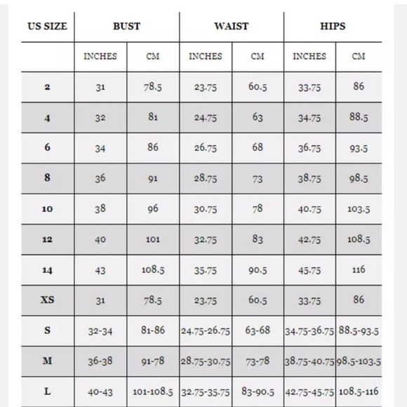 Lauren Ralph Lauren Banded Waist Bikini Bottom - Picture 4 of 4